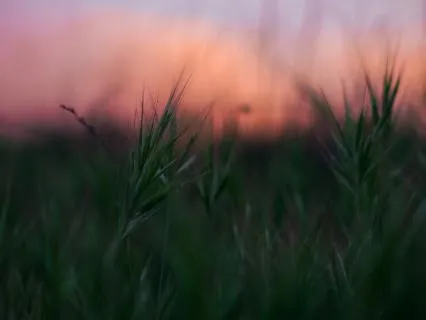 Breathe In | |The River Within - 20-minute Healing Meditation