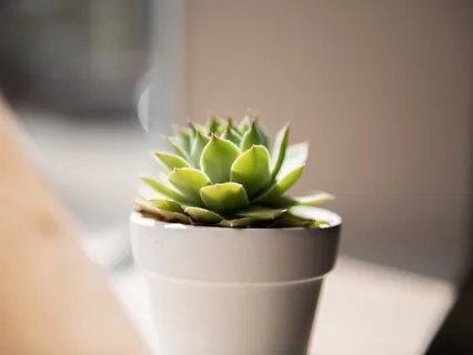 Breathe Into All Parts Of Your Being