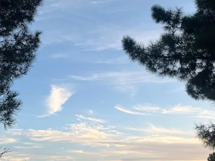 Breathe Into Authenticity: Throat Chakra Meditation