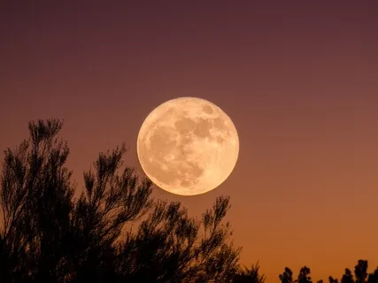 Breathe Into Blissful Sleep: A Sleep Meditation