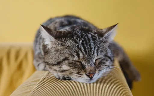 Breathe Into Deep Peace