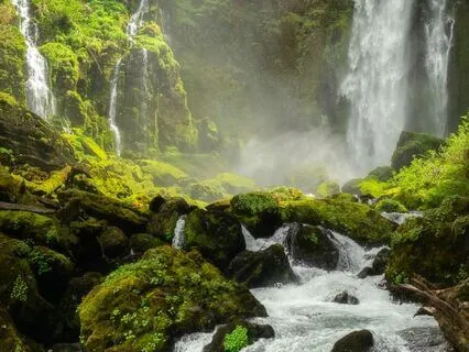 Breathe Into Peace & Relaxation