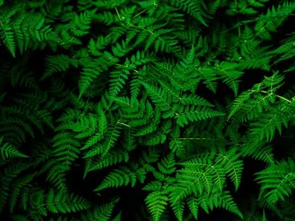 Breathe Into Stillness