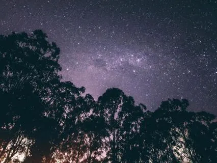 Breathe Into The Night