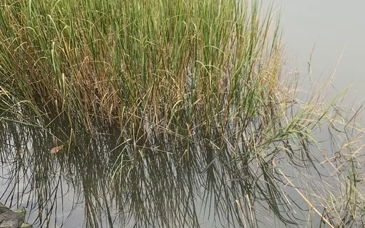 Breathe Into The Present