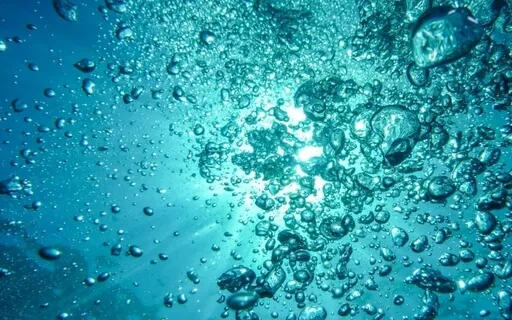 Breathe Into Your Body