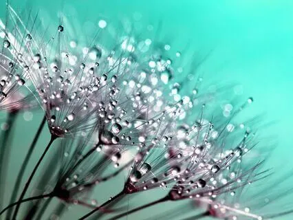 Breathe It Away | 15-Minute Meditation For Anxiety & Stress