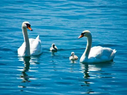 Breathe: Kindness To Yourself And Others (Metta)