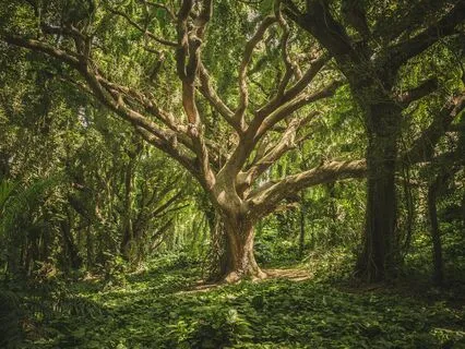 Breathe & Let Go: A Calming Meditation