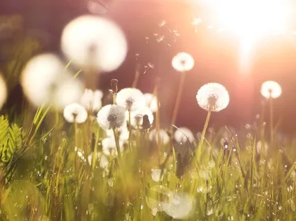 Breathe Light: A Healing Release