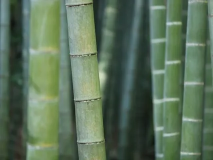 Breathe, Love, Accept