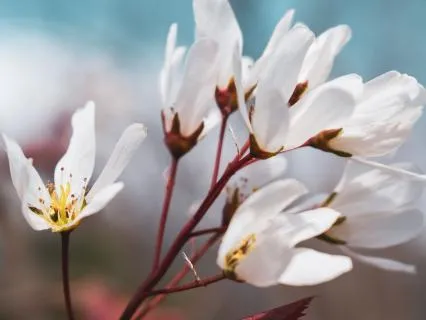 Breathe Out All Stress