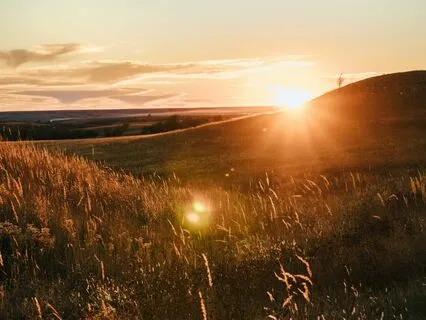 Breathe: Peaceful Tongue Drum Tones With Ambience