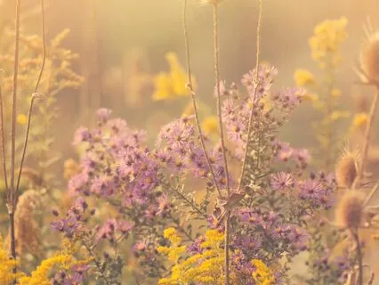 Breathe - Poetry For Relaxation