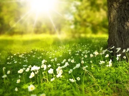 Breathe, Relax And Love Yourself