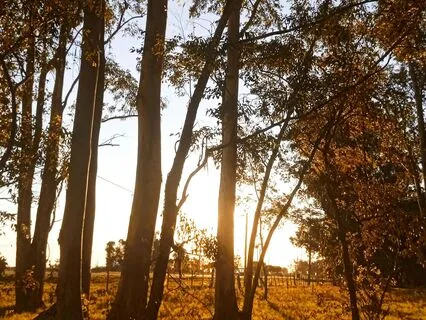 Breathe & Release: An 8-Minute Calming Meditation