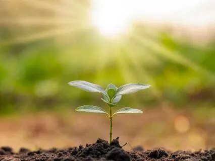 Breathe, Release, Begin: A Meditation For New Beginnings