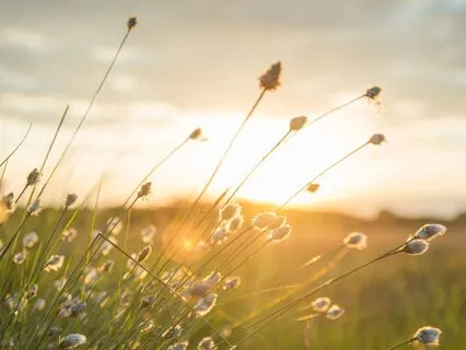 Inner Calm At Any Moment