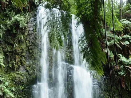 Breathing Exercise To Release Stress & Anxiety