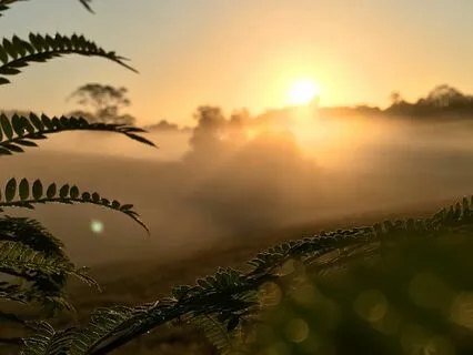 Breathe, Smile & Go Slowly