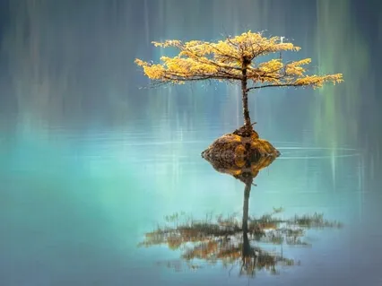 Breathe The Stress Away