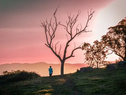 Breathe To Heal Nature Meditation