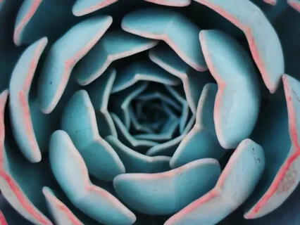 Breathe Top To Bottom, Bottom To Top