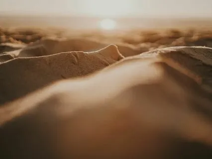 Breathe: Tranquil Breath