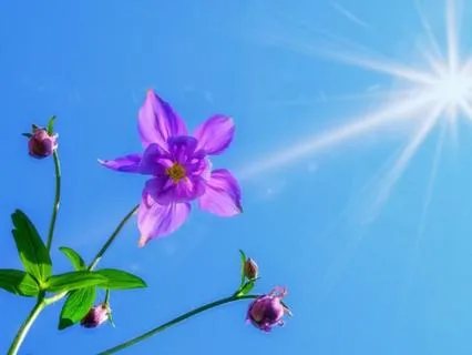 2 Minute Meditation: Breathe With Gratitude And Smile