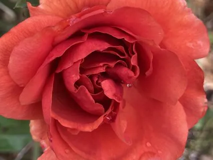 Breathe With Me #6: Cyclical Sighing