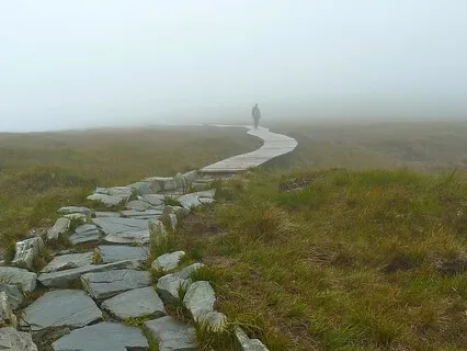 Breathe With Me: A Meditation For Lonely Times