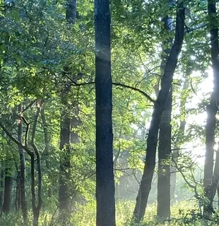 Breathe With Me #3: Box Breathing