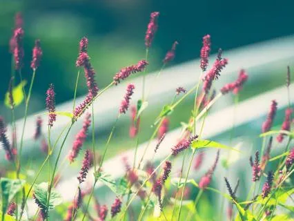 Breathe Your Way Into Well-Being: The Resonance Breath