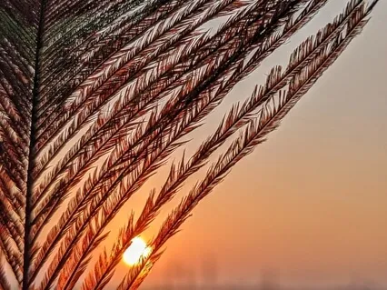 Breathe Your Way To Better Sleep (Pranayama For Sleep)