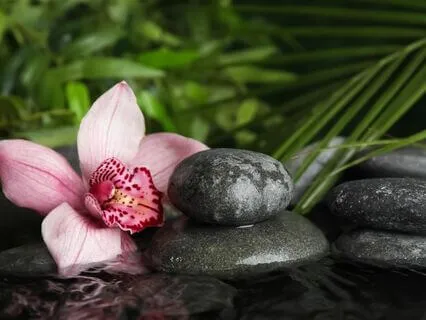 Breathe Your Way To Presence