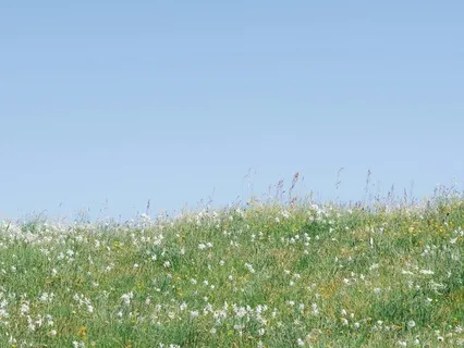 Breathe Yourself Home Meditation