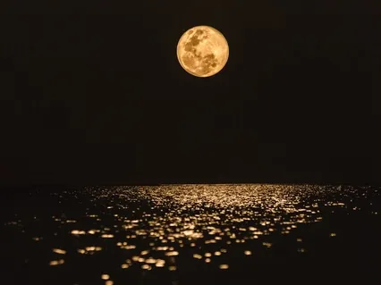 Breathe Yourself To Sleep Every Night - Wednesday