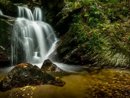Breathing And Body Awareness Meditation