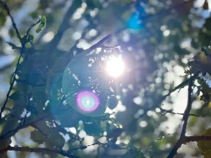 Breathing And Body Focus To Sense Both Balance And Ease