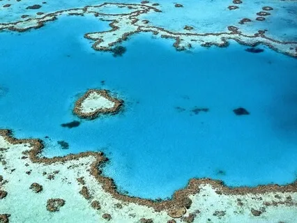 Breathing & Gratitude Practice