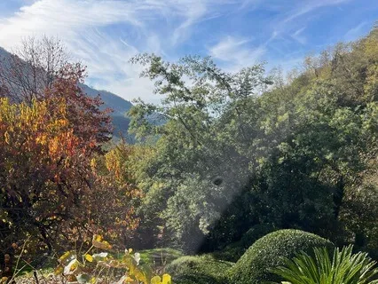 Breathing And Meditation Affirmations To Start A Magical Day