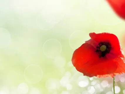 Breathing And Relaxation Go Hand In Hand