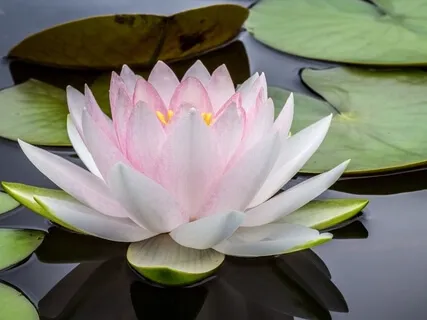 Breathing And Visualisation To Balance The Koshas