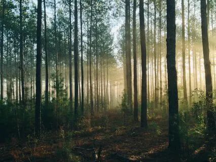 Breathing And Visualization For Relaxation