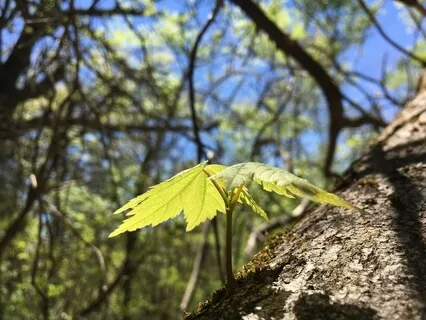 Breathing Awareness  and a smile