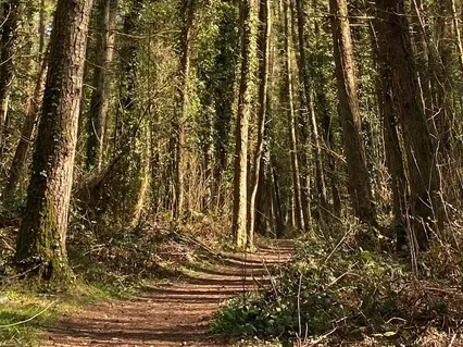 Ground Yourself With Gentle Breathing And Presence