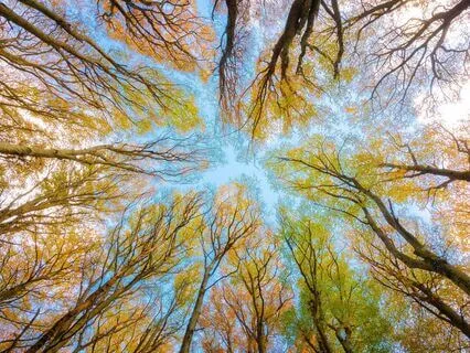 Breathing Earth - Natural Sound Meditation For Deep Healing