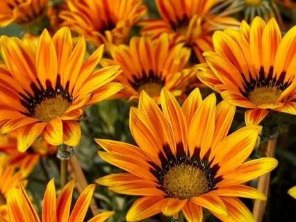 Breathing Exercise: Navigate Emotions With Grace