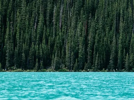 Breathing For A Quiet Mind