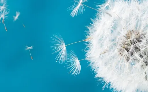 Breathing For Anxiety - Coherent Breathing